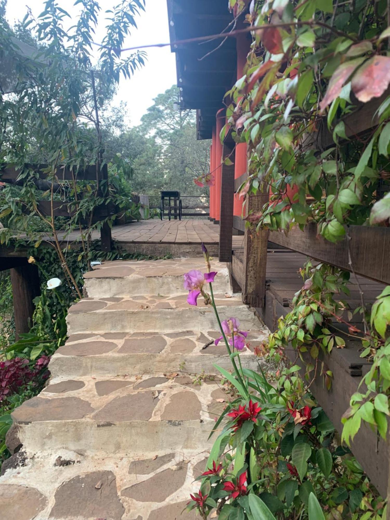La Cabana Gaby Mazamitla Exteriör bild
